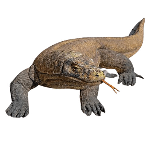 Komodo Dragon Lizard Statue