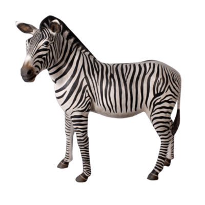 Zebra Model-Gel Coat
