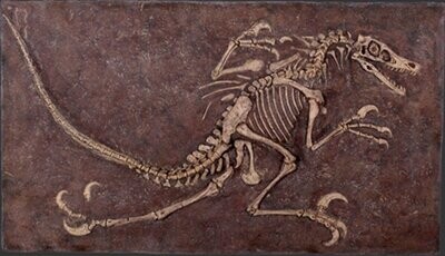 Velociraptor Frieze