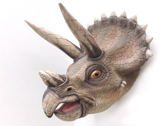 Triceratops Head