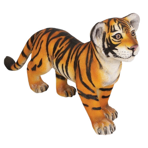 Tiger Cub Standing