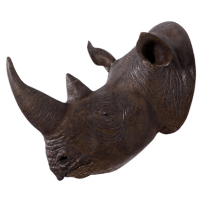 Rhinoceros Head Model