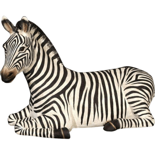 Zebra Resting