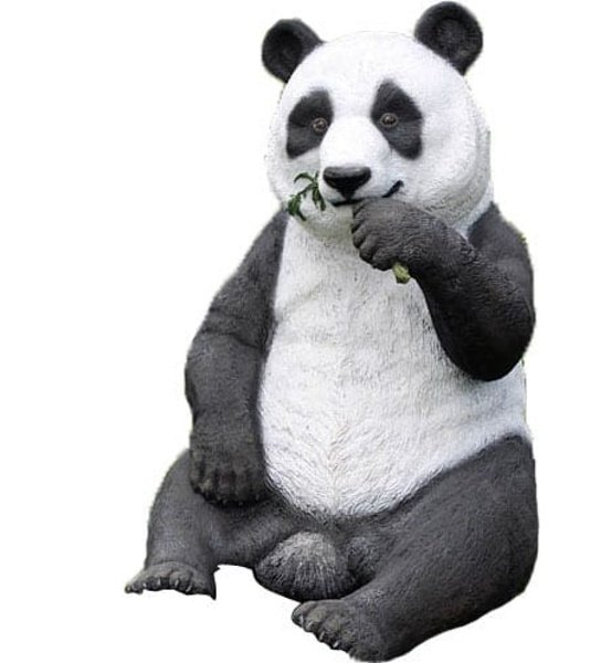Panda Eating