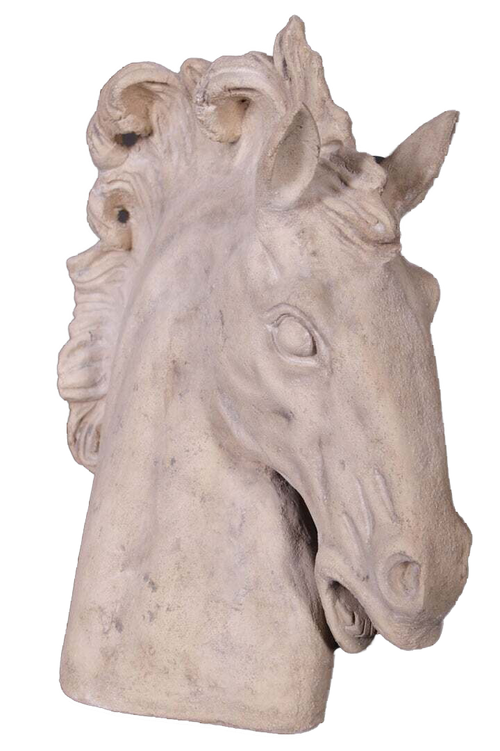 Horse Head RS