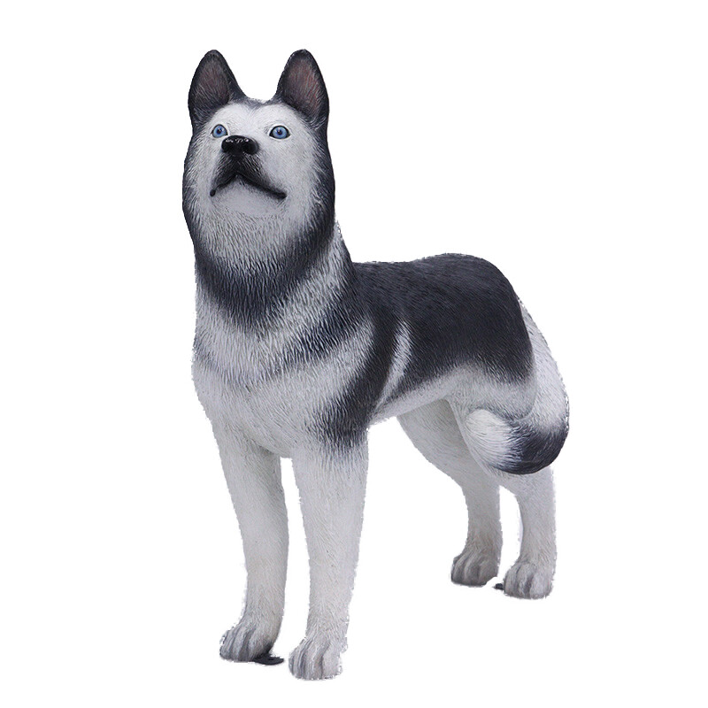 Husky