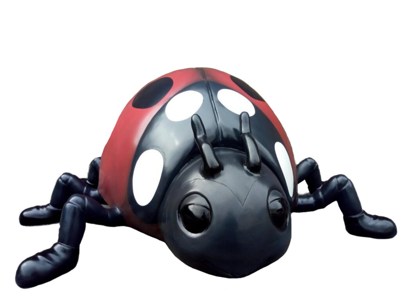 Ladybird