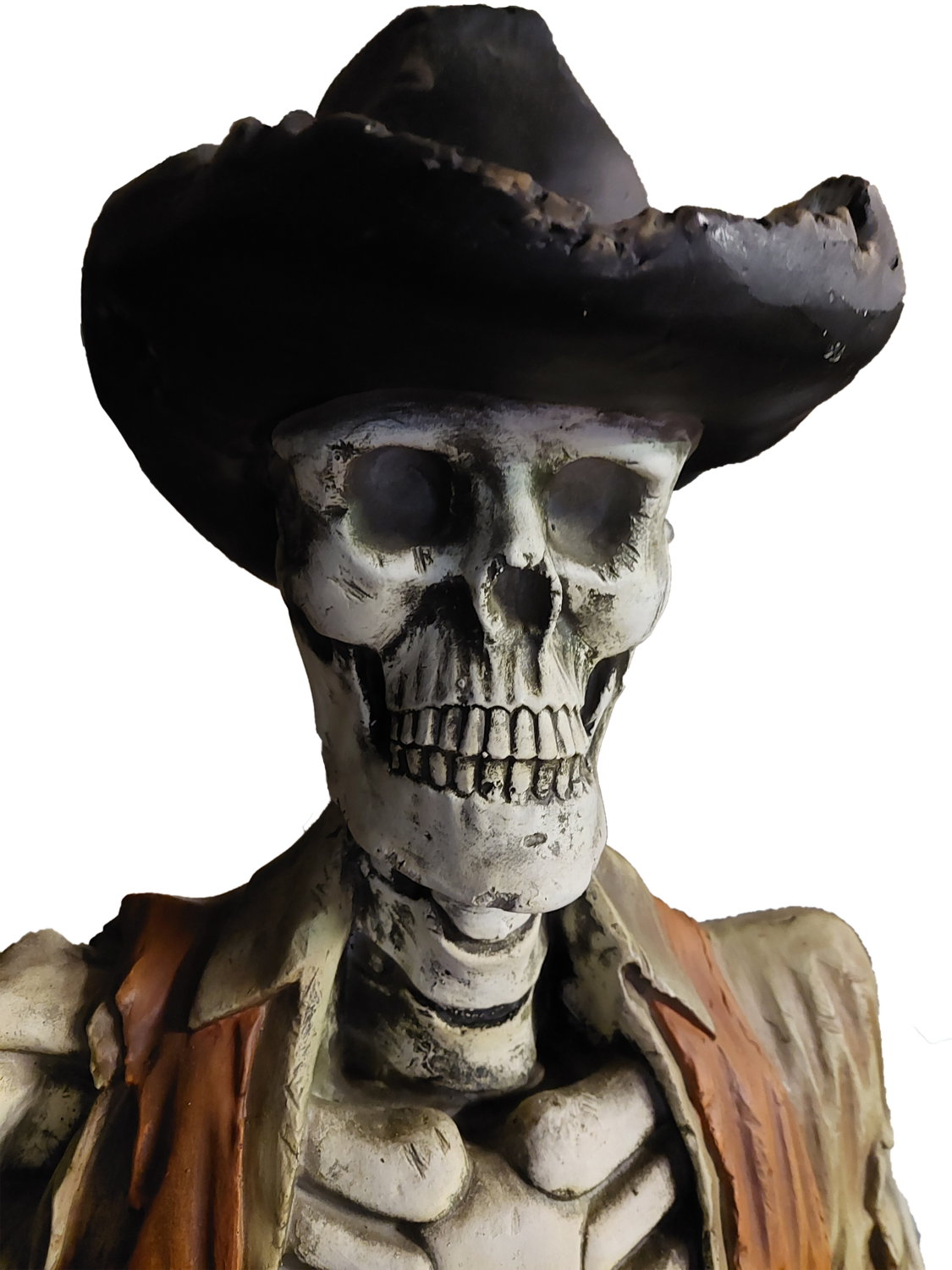 Skeleton Cowboy