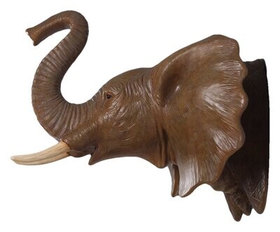 Elephant Head Model