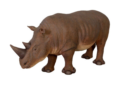Rhinoceros Small