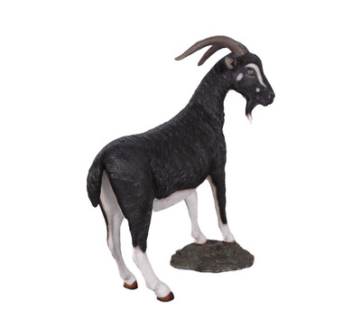 Billy Goat Black and White Statue