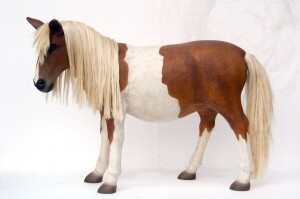 Shetland Pony