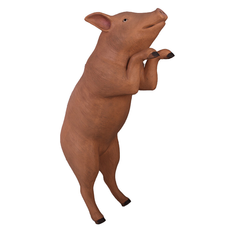 Curious Pig Pink