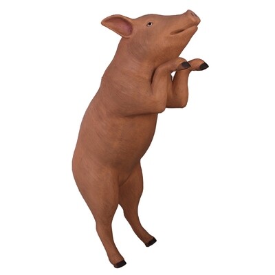Curious Pig Pink