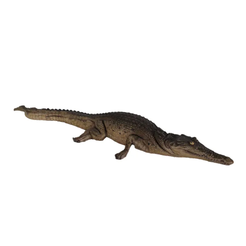 Crocodile Resting 4ft