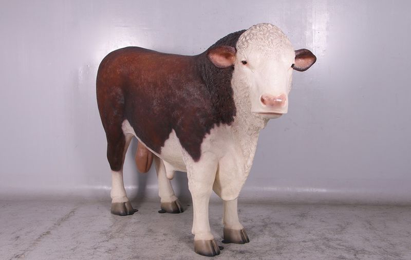 Hereford Bull