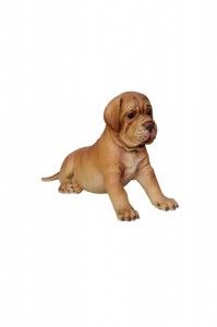 Bordeaux Dog Puppy