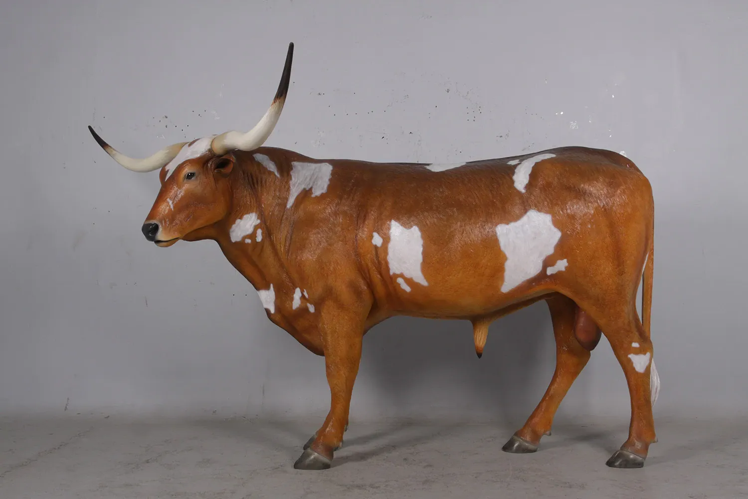 Texas Longhorn Bull