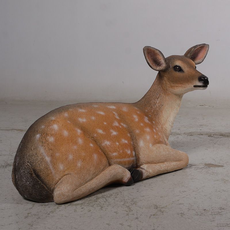 Fallow Deer Fawn Lying