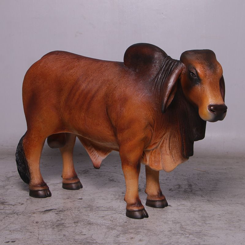 Definitive Brahman Brown