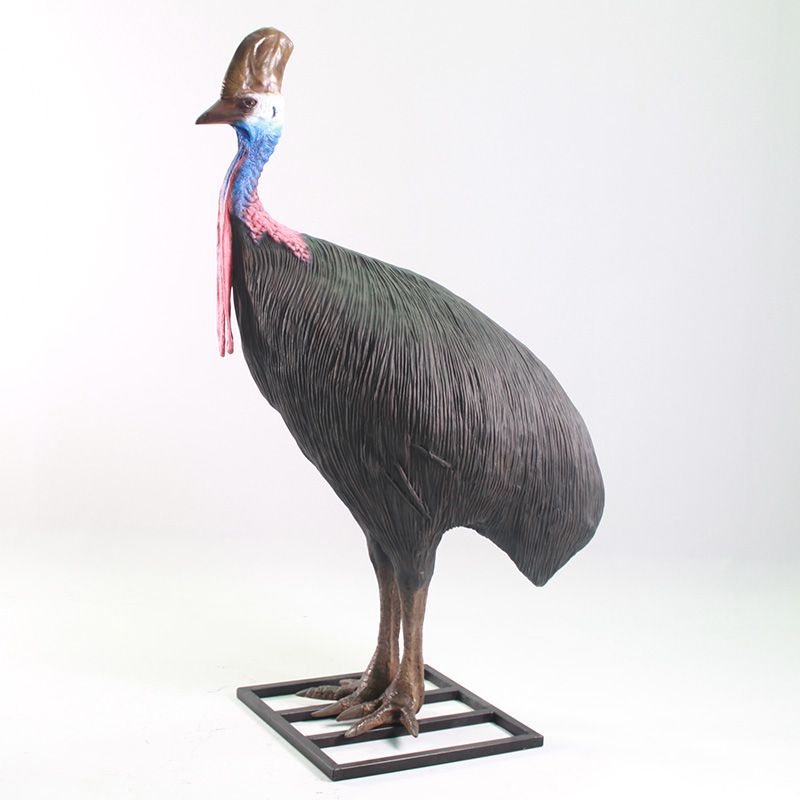 Cassowary Female