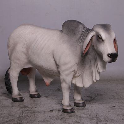 Definitive Brahman Gray