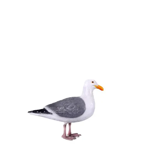 Seagull