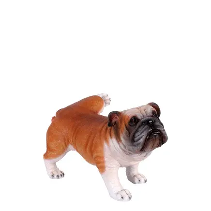 Peeing Bull Dog