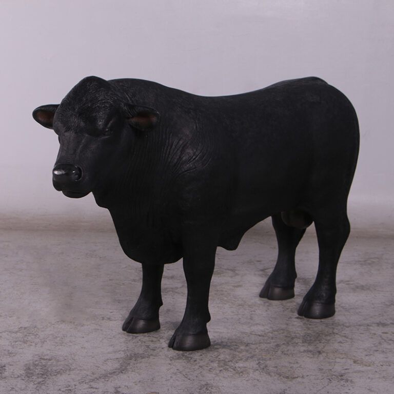 Definitive Angus Bull (Right)