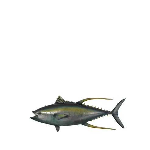 Yellowfin Tuna