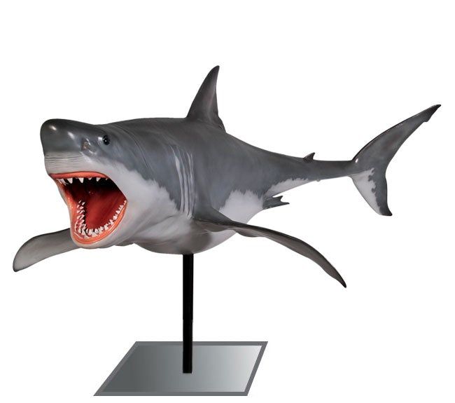 Great White Shark on Base