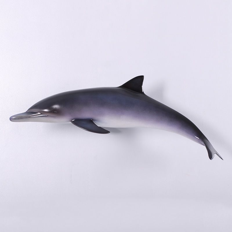 Dolphin