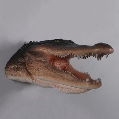 Alligator Head