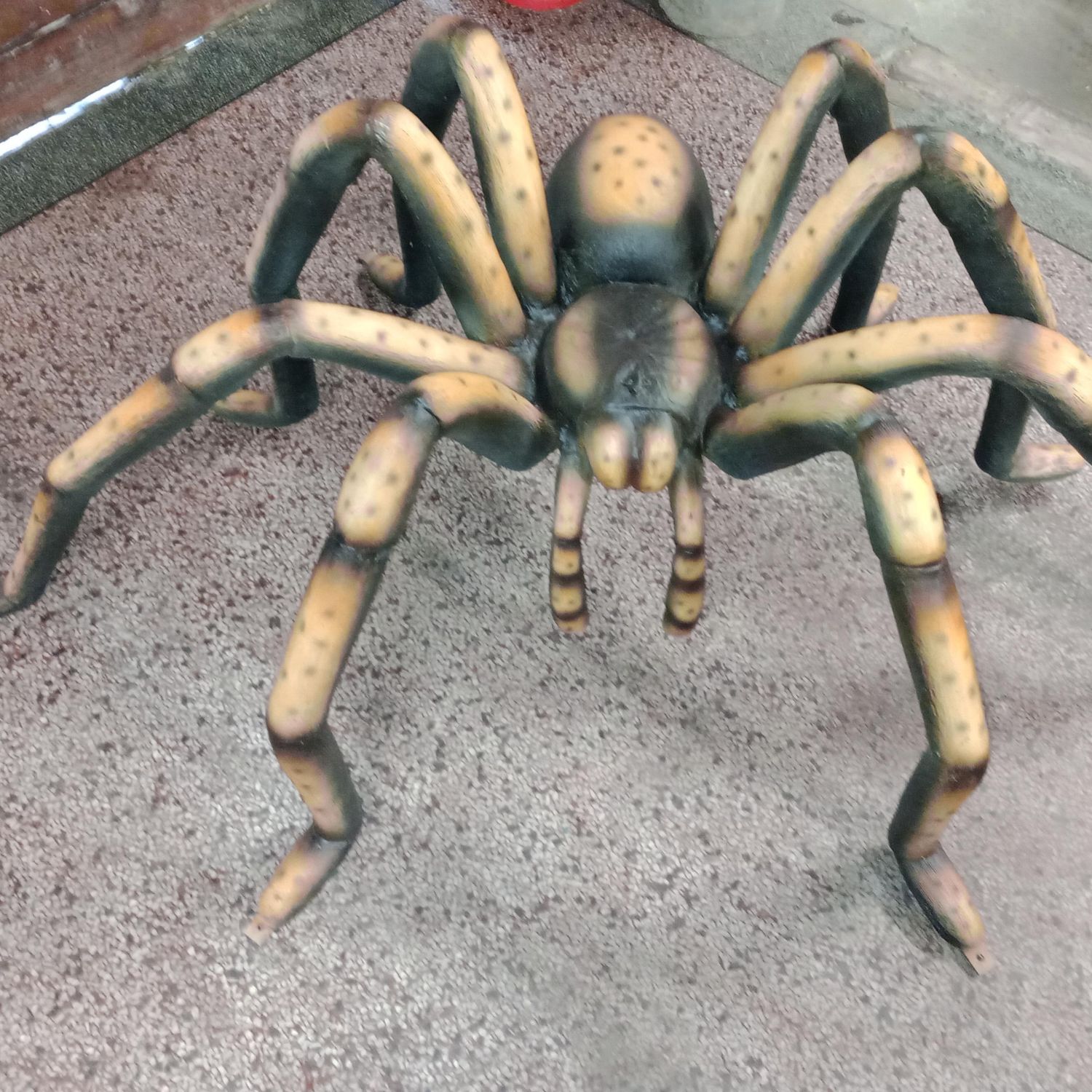 Spider