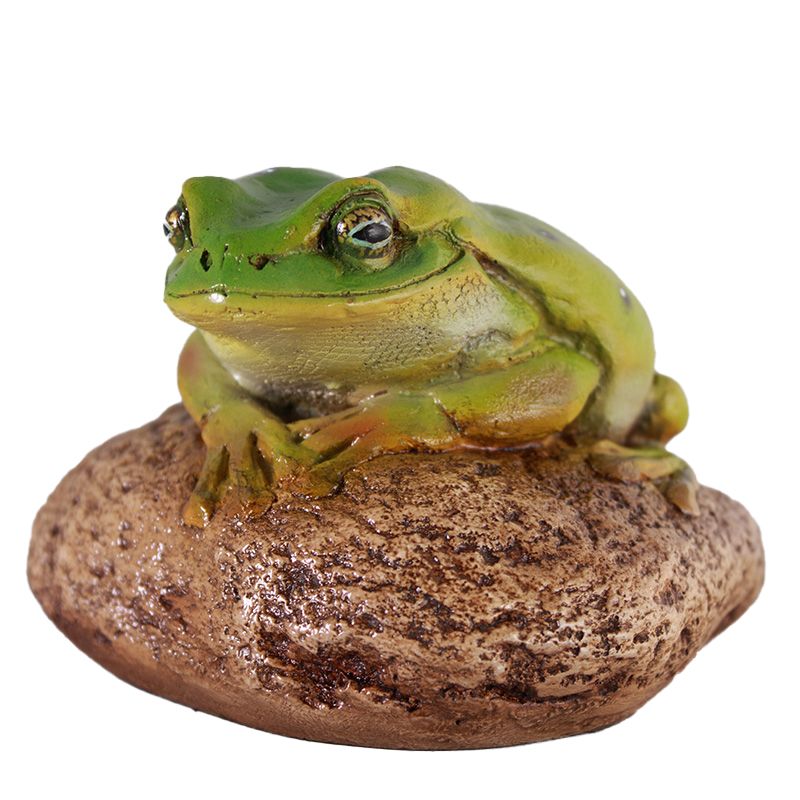 Frog on Rock Small