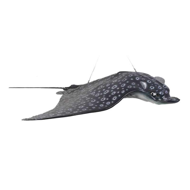 Spotted Eagle Ray