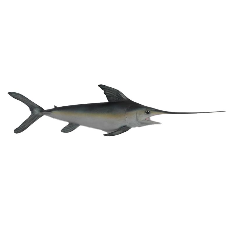 Broadbill Swordfish