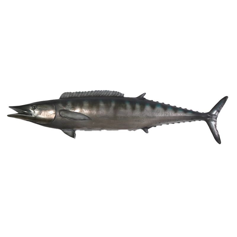 Wahoo