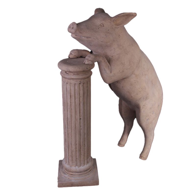 Curious Pig Roman Stone