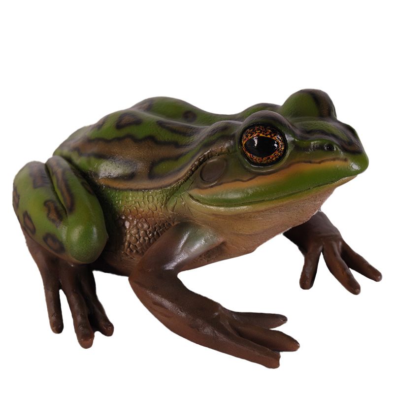 Green and Golden Bell Frog