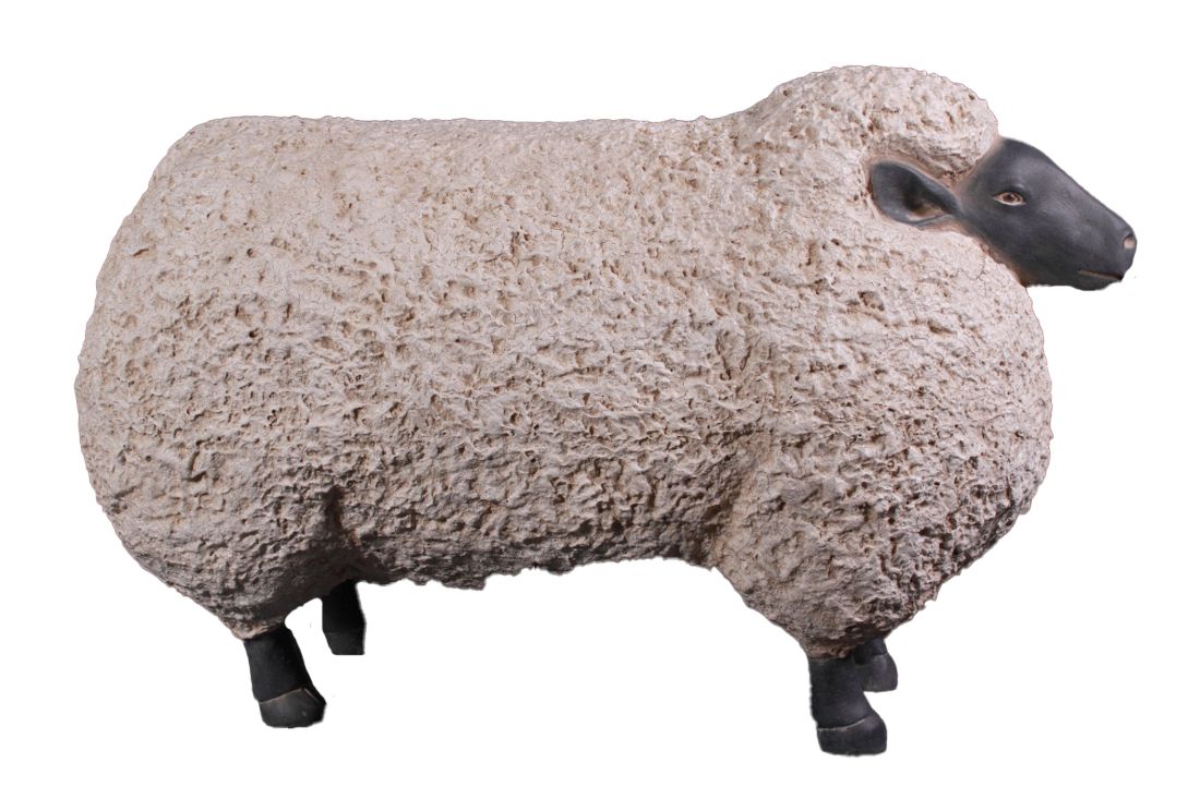 Sheep Jumbo