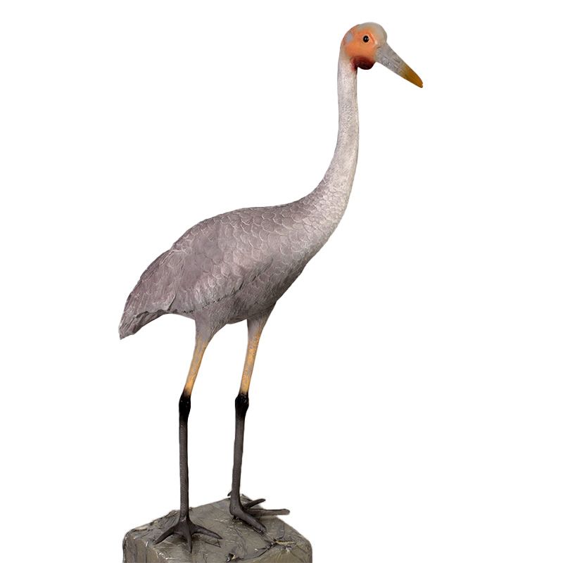 Brolga Crane