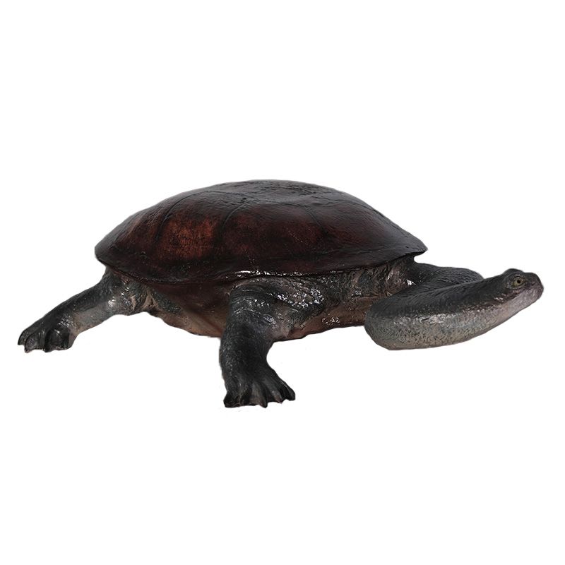 Long-neck Turtle Statue