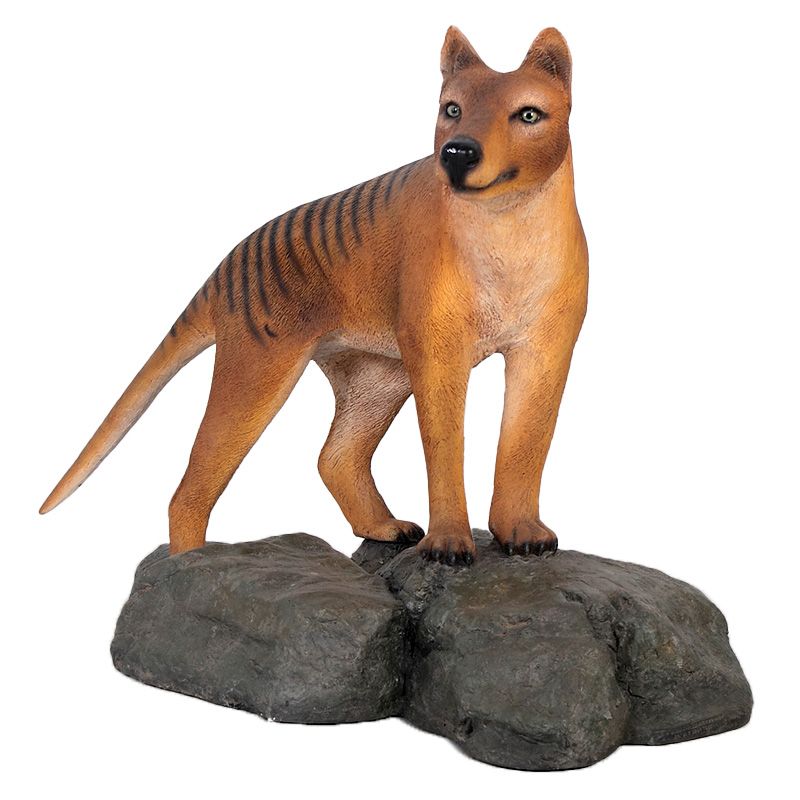Tasmanian Tiger