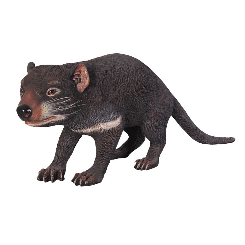 Tasmanian Devil