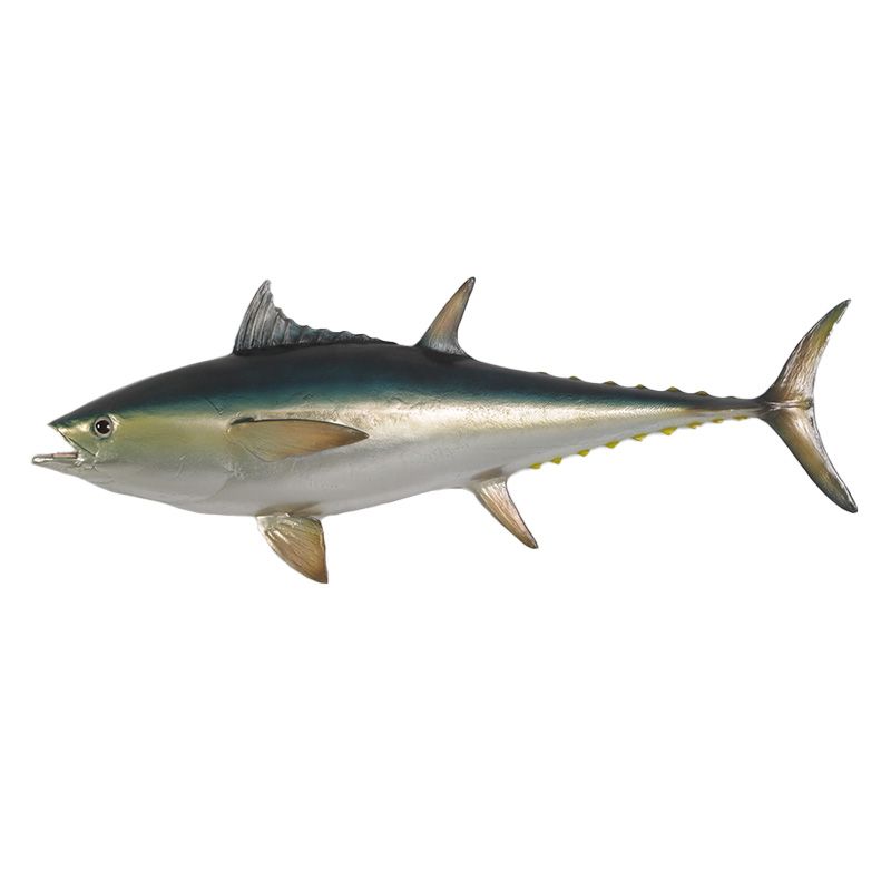 Bluefin Tuna