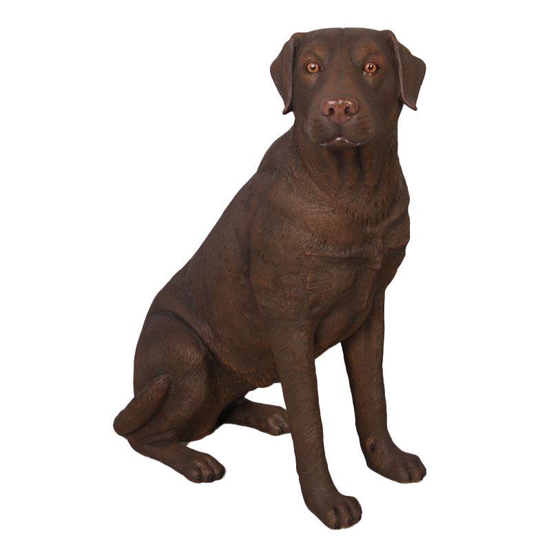 Labrador Dog Sitting Chocolate