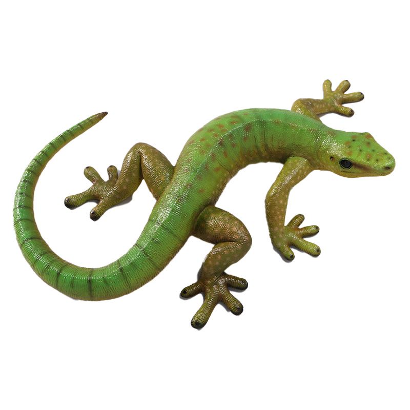 Gecko 60cm