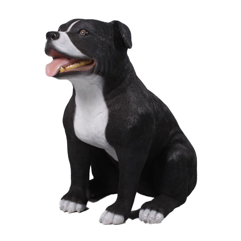 Staffordshire Bull Terrier Dog Black