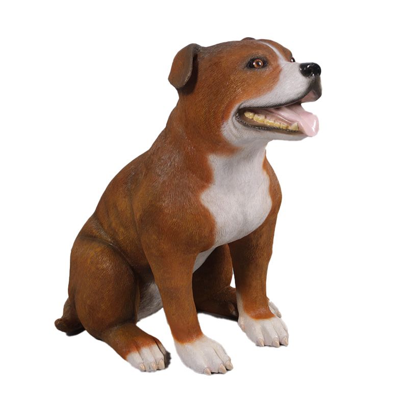 Staffordshire Bull Terrier Dog Brown
